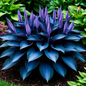 Хоста Сикрет Гров купить по цене от 570р. в интернет-магазине «Посадика» с доставкой почтой в в Жигулевске и по всей России – [изображение №1].